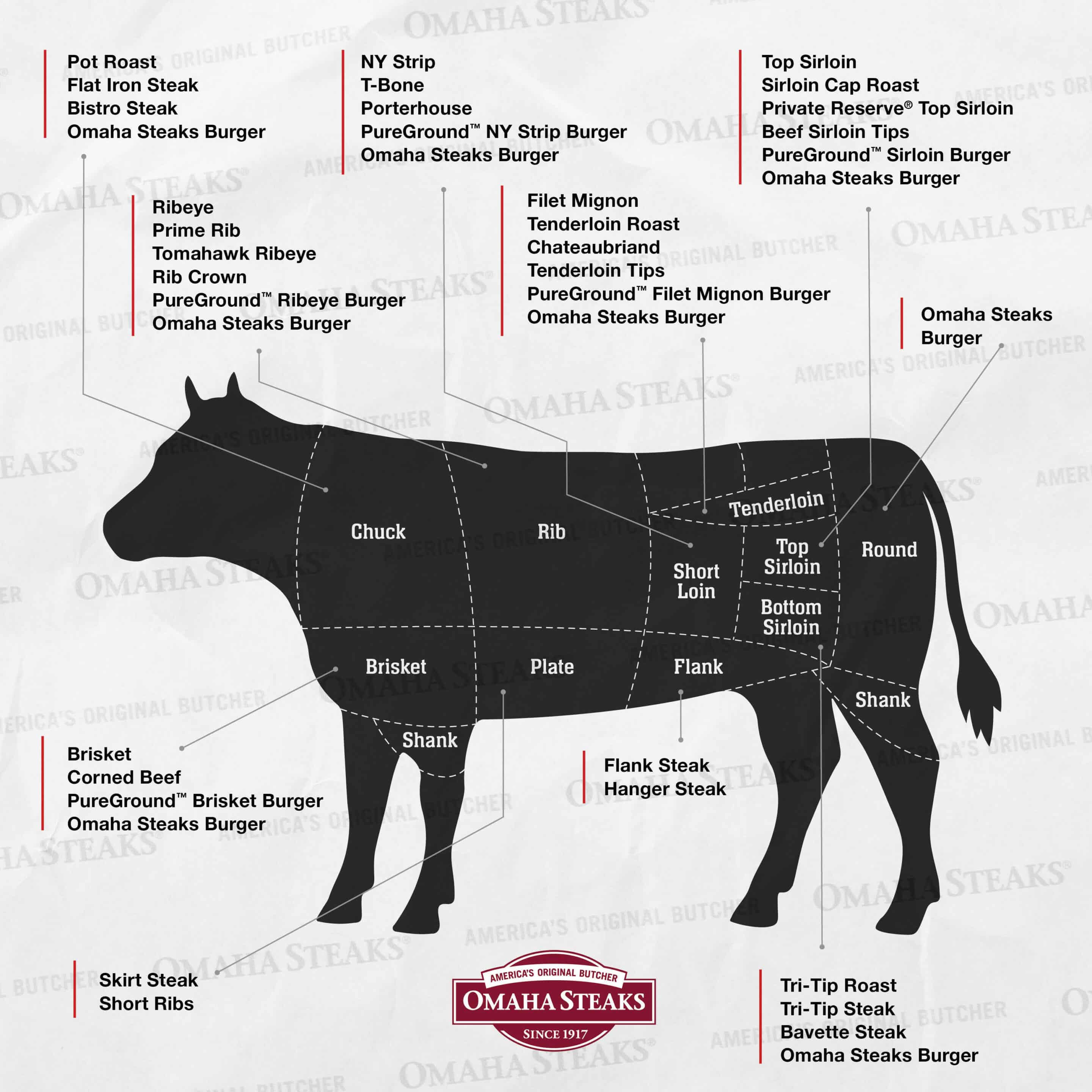 Cow diagram with cuts of beef labeled